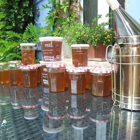 Bed & Breakfast Manoir Camelia *